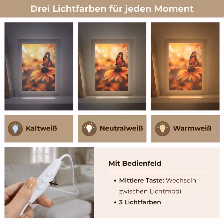 Vlinder - Bloemen - Oranje Light Box met kabel (Tafellamp) klein -USP_lichtkleurDE