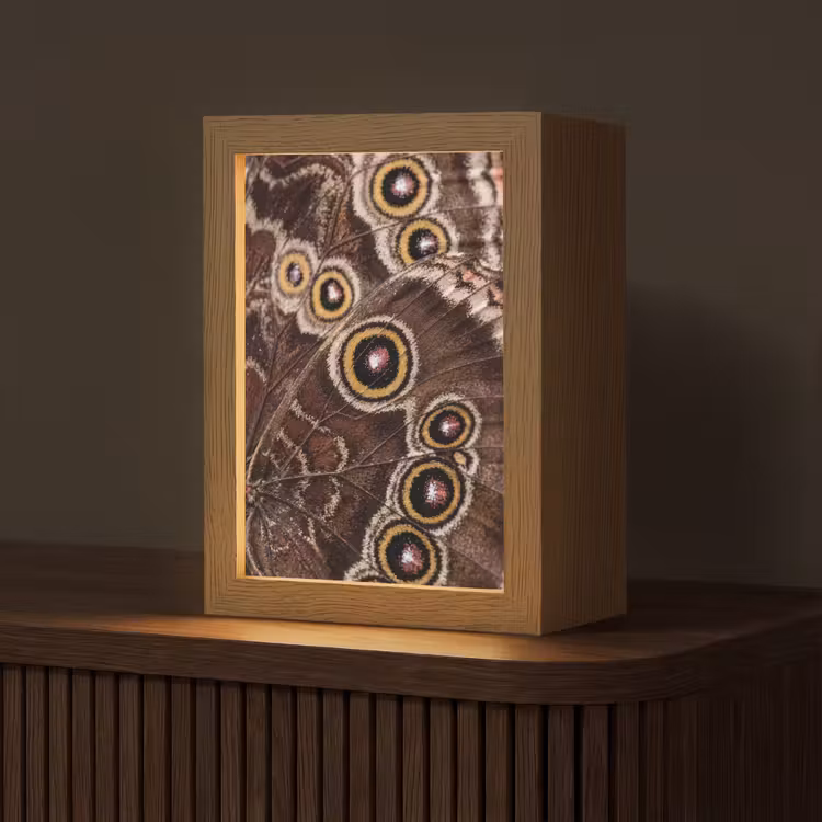 Vlinder - Vleugel - Abstract Light Box met kabel (Tafellamp) klein -z3d_website