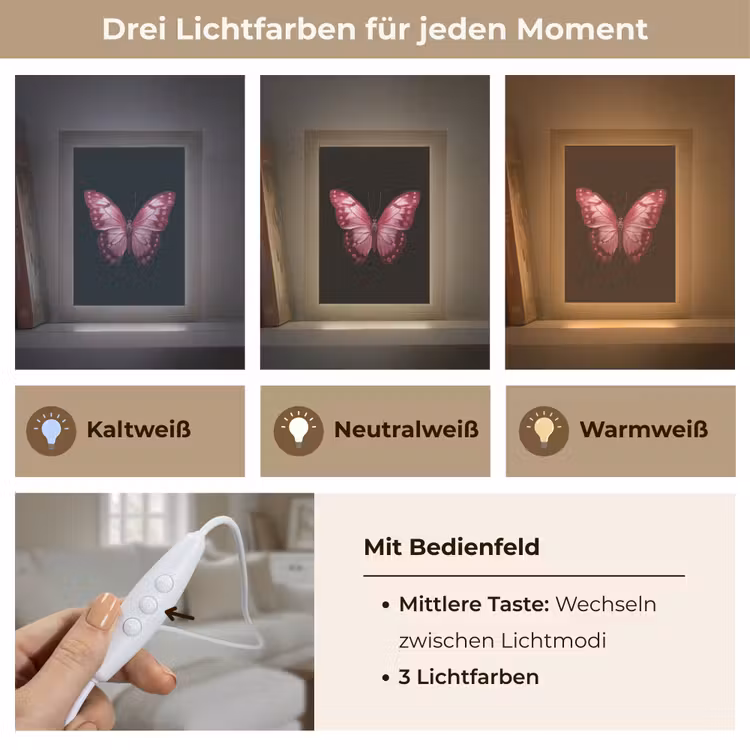 Vlinder - Fuchsia - Grafisch Light Box met kabel (Tafellamp) klein -USP_lichtkleurDE
