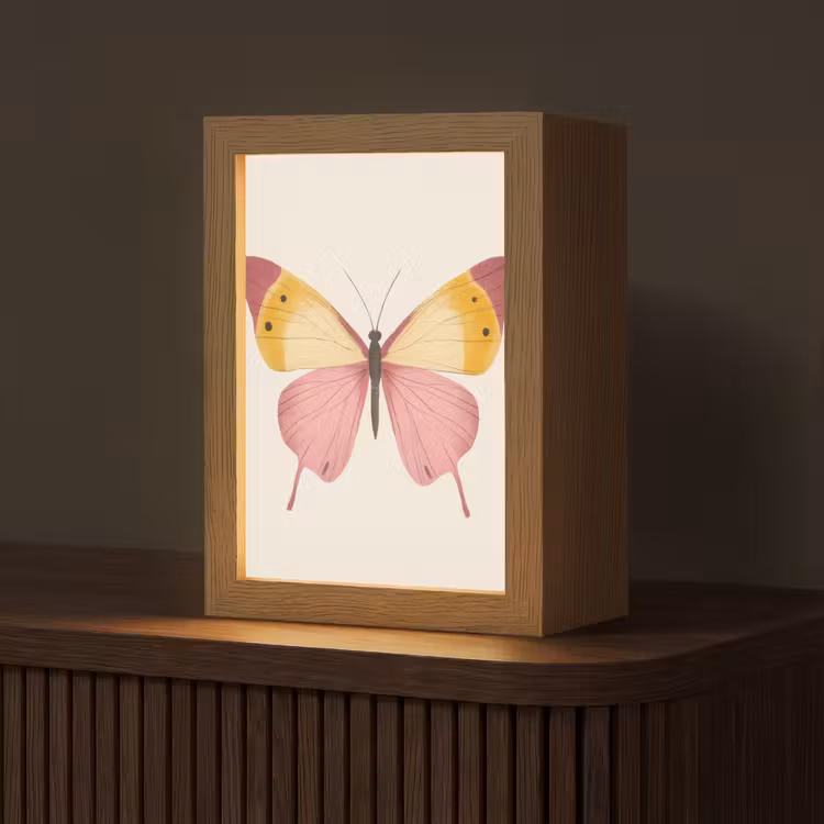 Vlinder - Illustratie - Roze Light Box met kabel (Tafellamp) klein -z3d_website