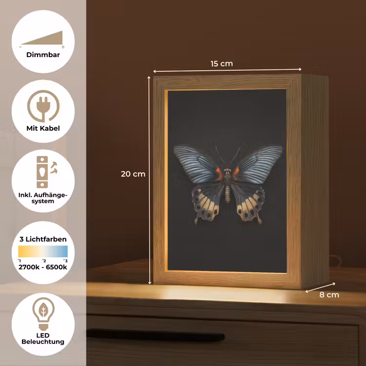 Vlinder - Metaalachtig - Geometrisch patroon Light Box met kabel (Tafellamp) klein -USP_DE