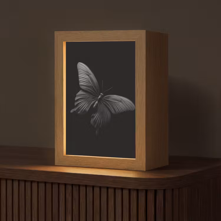 Vlinder - Zwart - Insect - Dieren Light Box met kabel (Tafellamp) klein -z3d_website