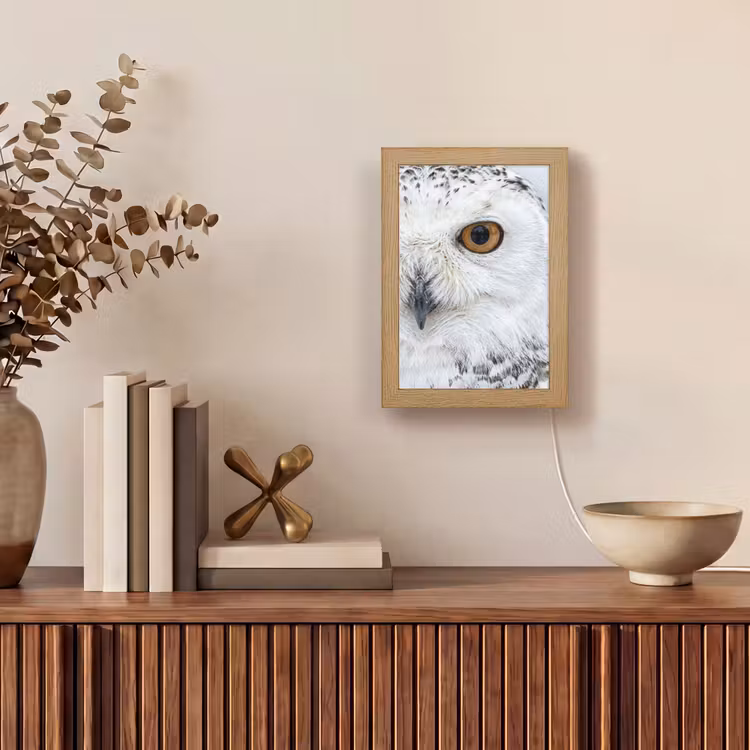 Sneeuwuil - Oog - Wildlife - Wit Light Box met kabel (Tafellamp) klein -sfeer2