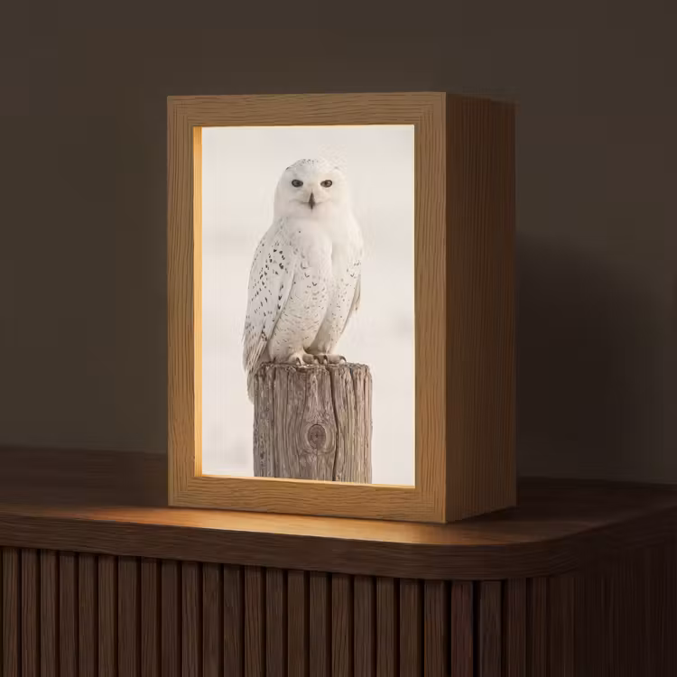 Sneeuwuil - Paal - Winter - Portret - Majestueus Light Box met kabel (Tafellamp) klein -z3d_website