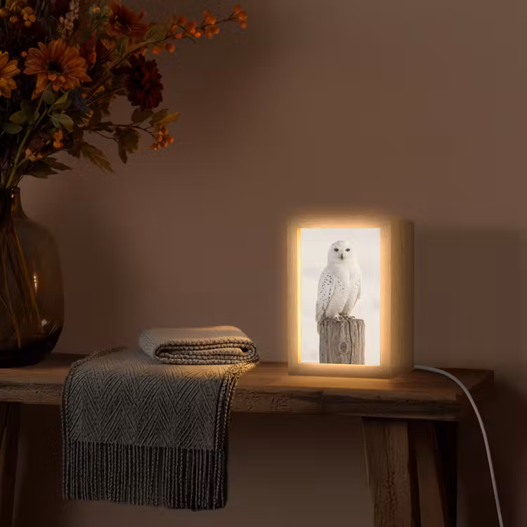Sneeuwuil - Paal - Winter - Portret - Majestueus Light Box met kabel (Tafellamp) klein -sfeer4