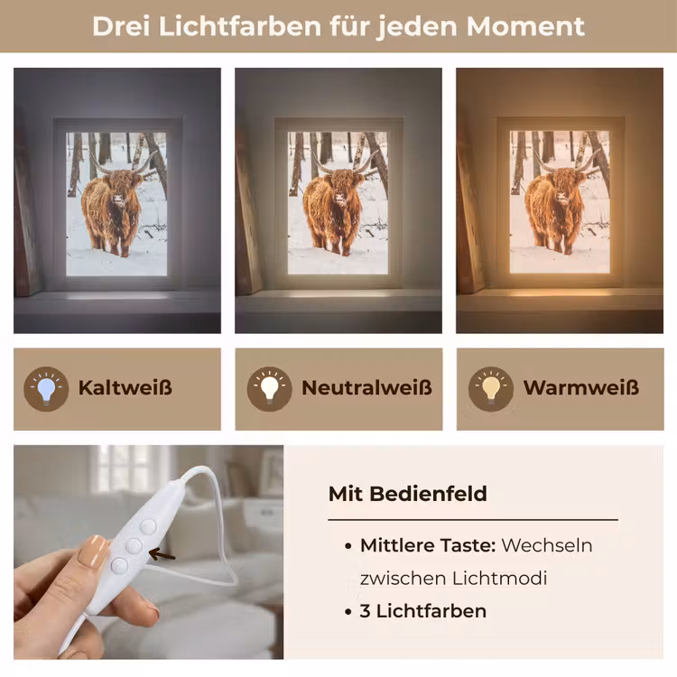 Schotse Hooglander - Sneeuw - Winter - Natuur - Dieren Light Box met kabel (Tafellamp) klein -USP_lichtkleurDE