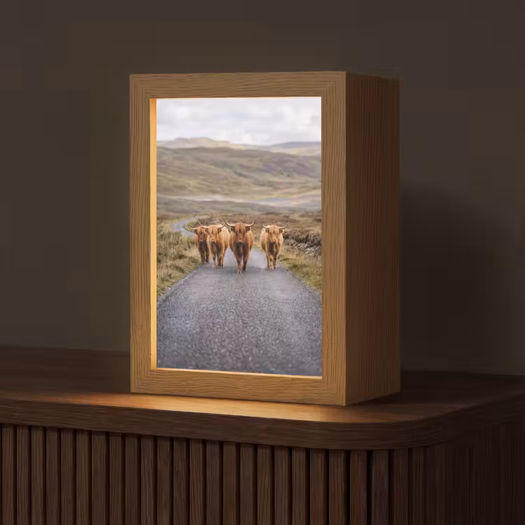 Schotse Hooglanders - Weg - Landschap - Kudde Light Box met kabel (Tafellamp) klein -z3d_website