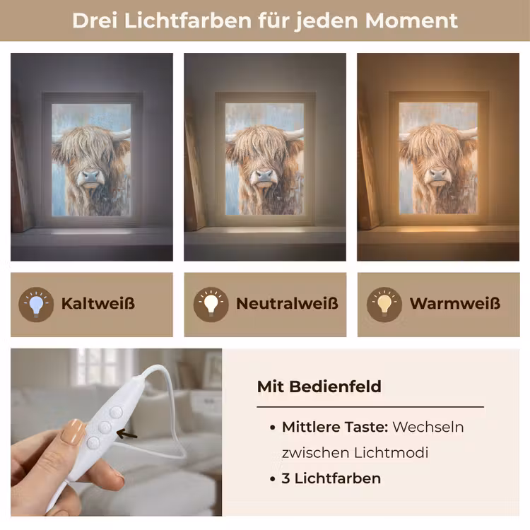 Schotse hooglander - Dieren - Koe - Street art Light Box met kabel (Tafellamp) klein -USP_lichtkleurDE