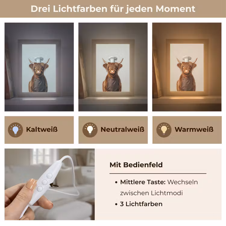 Schotse Hooglander - Bruin - Hoorns - Kokskleding Light Box met kabel (Tafellamp) klein -USP_lichtkleurDE