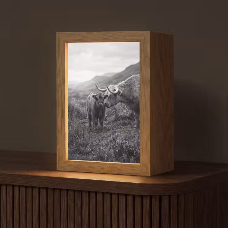 Schotse hooglander - Kalf - Zwart - Wit Light Box met kabel (Tafellamp) klein -z3d_website
