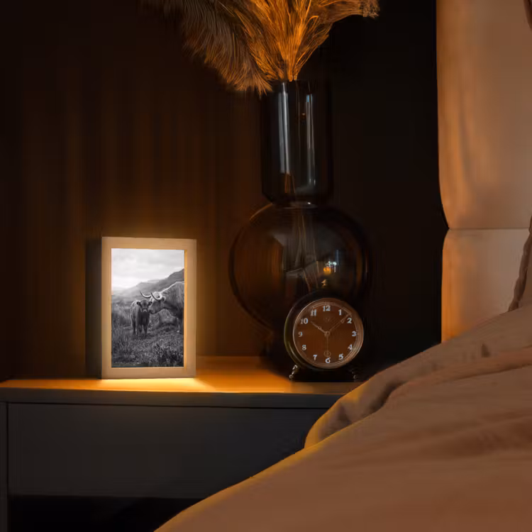 Schotse hooglander - Kalf - Zwart - Wit Light Box met kabel (Tafellamp) klein -sfeer1