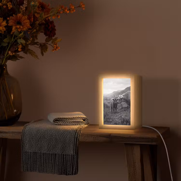 Schotse hooglander - Kalf - Zwart - Wit Light Box met kabel (Tafellamp) klein -sfeer4