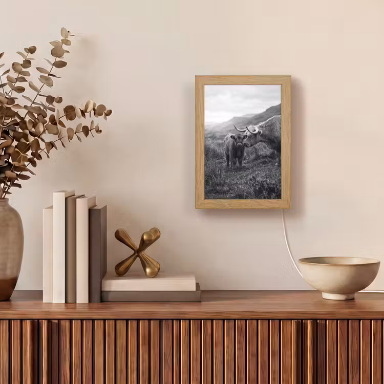 Schotse hooglander - Kalf - Zwart - Wit Light Box met kabel (Tafellamp) klein -sfeer2
