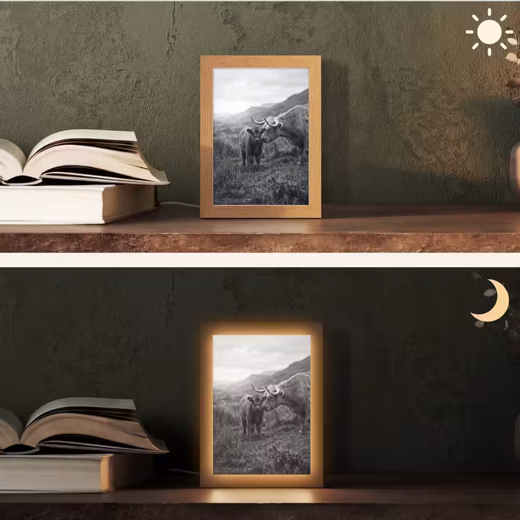 Schotse hooglander - Kalf - Zwart - Wit Light Box met kabel (Tafellamp) klein -sfeer3