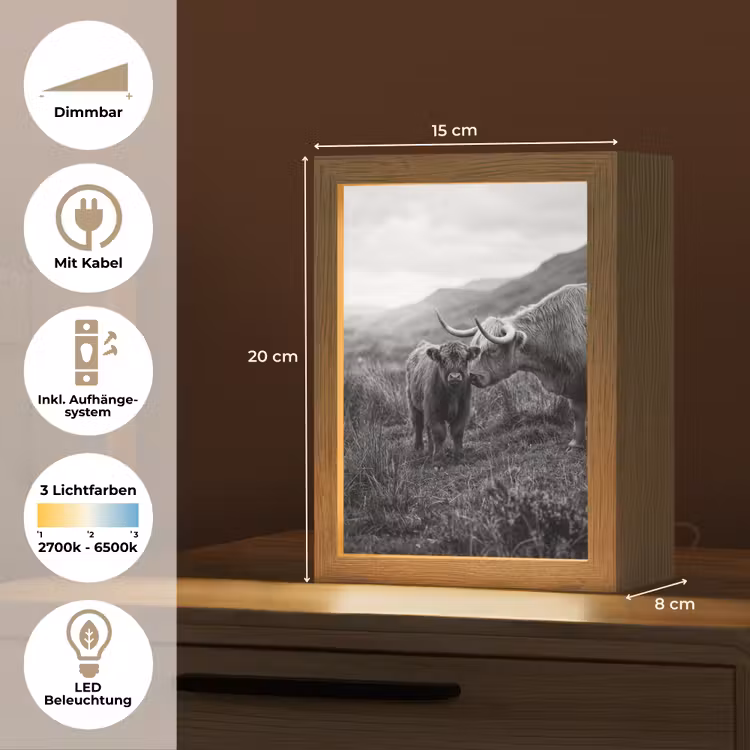 Schotse hooglander - Kalf - Zwart - Wit Light Box met kabel (Tafellamp) klein -USP_DE