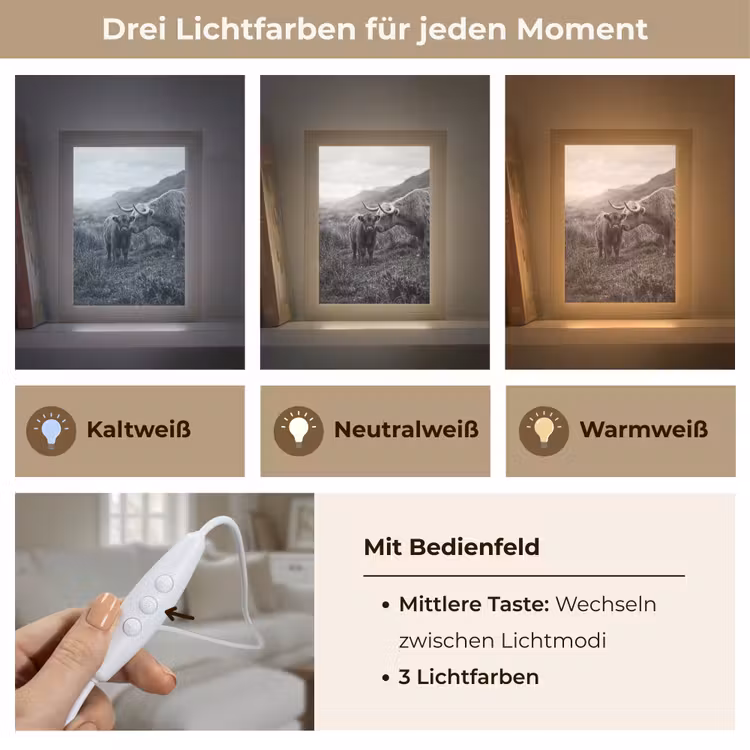 Schotse hooglander - Kalf - Zwart - Wit Light Box met kabel (Tafellamp) klein -USP_lichtkleurDE