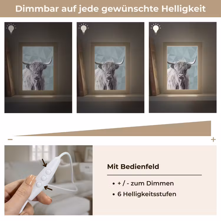 Schotse hooglander - Zwart wit - Patroon - Driehoek Light Box met kabel (Tafellamp) klein -USP_dimbaarDE