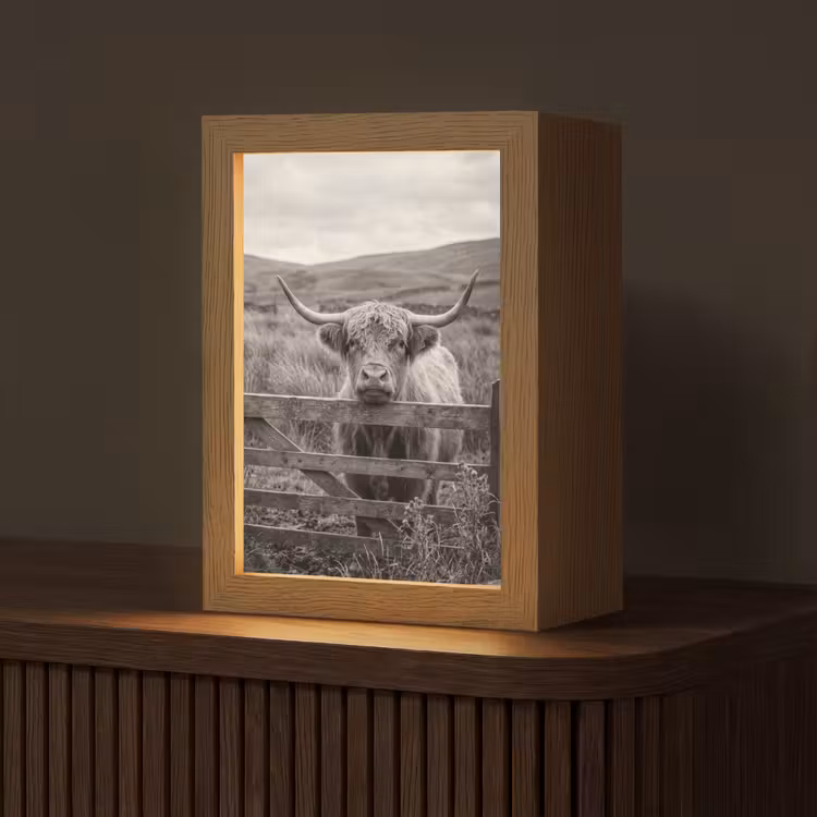 Schotse hooglander - Zwart - Wit - Hout Light Box met kabel (Tafellamp) klein -z3d_website