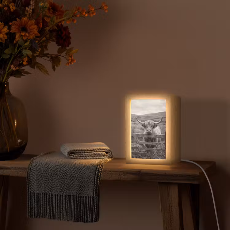 Schotse hooglander - Zwart - Wit - Hout Light Box met kabel (Tafellamp) klein -sfeer4