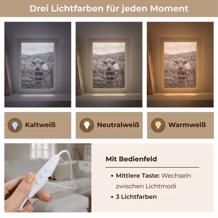 Schotse hooglander - Zwart - Wit - Hout Light Box met kabel (Tafellamp) klein -USP_lichtkleurDE