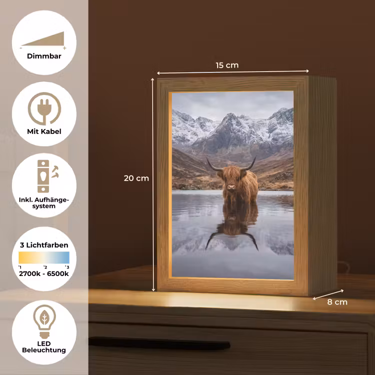 Schotse hooglander - Bruin - Water Light Box met kabel (Tafellamp) klein -USP_DE