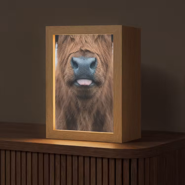 Schotse hooglander - Neus - Bruin Light Box met kabel (Tafellamp) klein -z3d_website