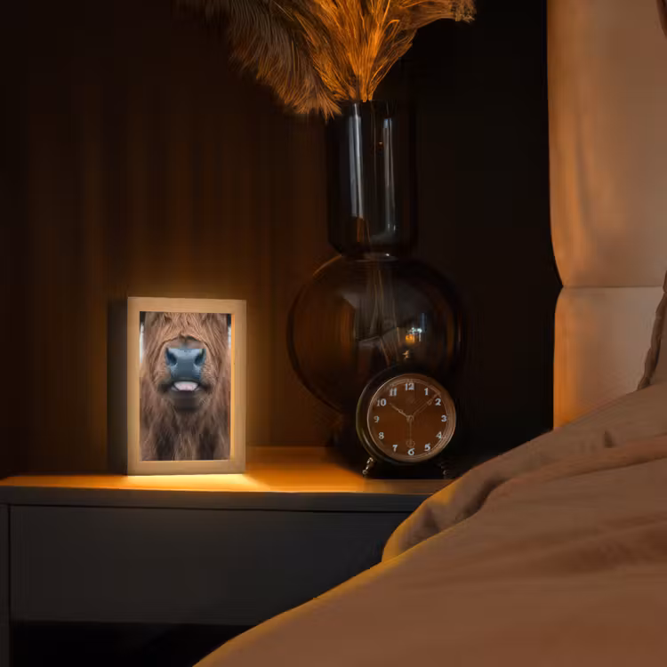 Schotse hooglander - Neus - Bruin Light Box met kabel (Tafellamp) klein -sfeer1