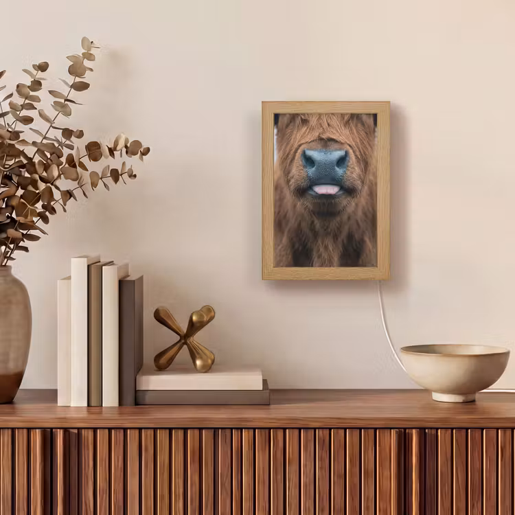 Schotse hooglander - Neus - Bruin Light Box met kabel (Tafellamp) klein -sfeer2