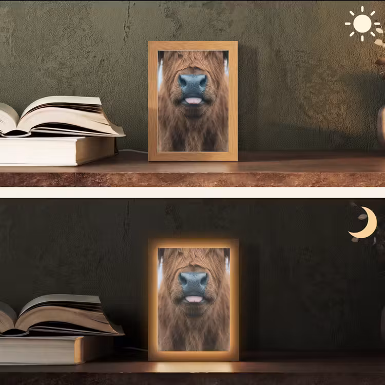 Schotse hooglander - Neus - Bruin Light Box met kabel (Tafellamp) klein -sfeer3
