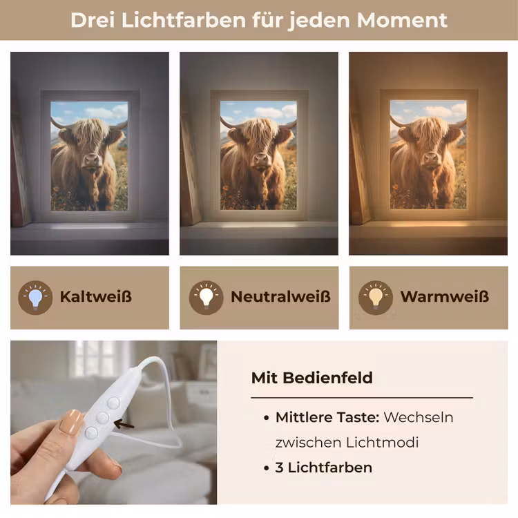 Schotse hooglander - Dieren portret - Natuur - Dier Light Box met kabel (Tafellamp) klein -USP_lichtkleurDE