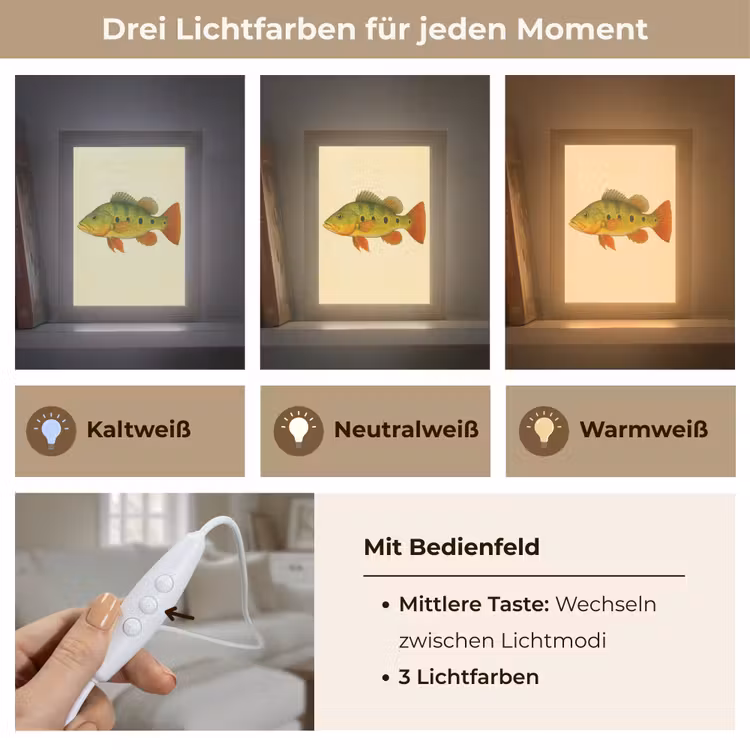Schubben - Vis - Groen - Illustratie Light Box met kabel (Tafellamp) klein -USP_lichtkleurDE