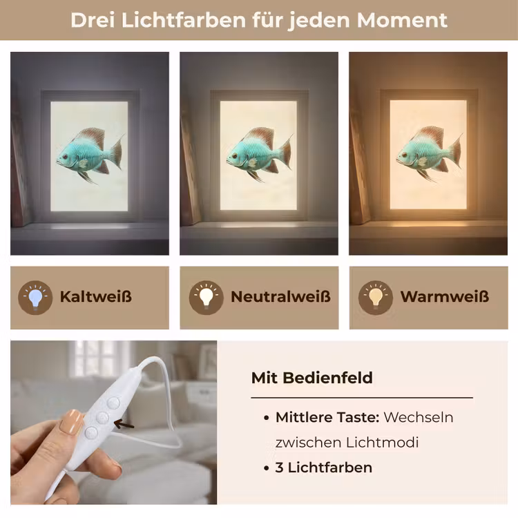 Schubben - Vis - Mint - Minimalistisch Light Box met kabel (Tafellamp) klein -USP_lichtkleurDE