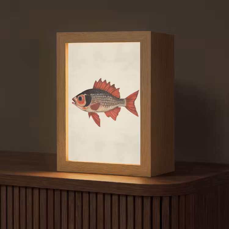 Schubben - Rood - Vis - Vinnen Light Box met kabel (Tafellamp) klein -z3d_website