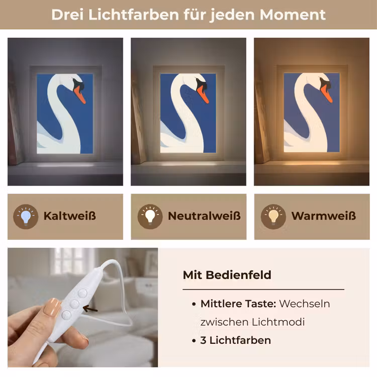 Zwaan - Wit - Snavel - Illustratie Light Box met kabel (Tafellamp) klein -USP_lichtkleurDE