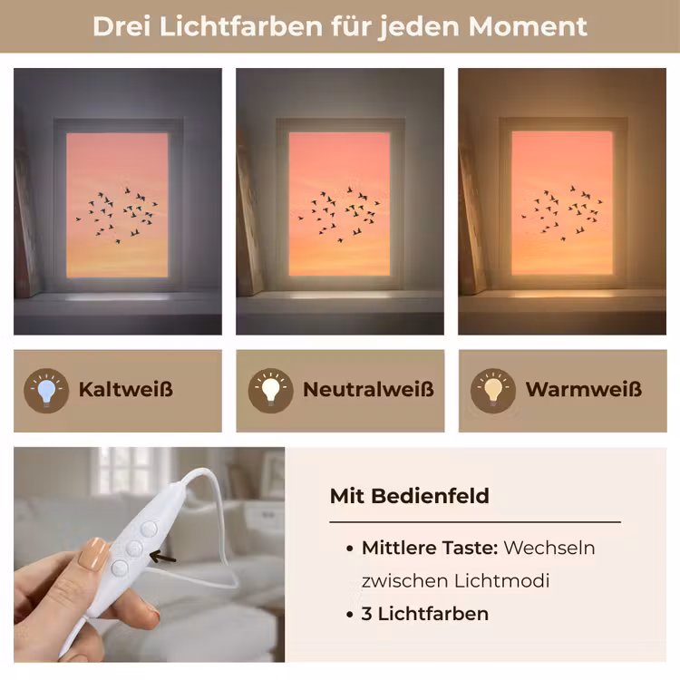 Zwerm - Vogels - Oranje Light Box met kabel (Tafellamp) klein -USP_lichtkleurDE