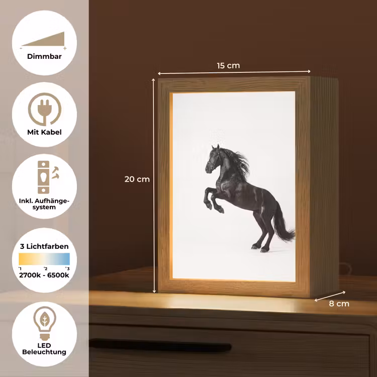 Zwart - Paard - Portret Light Box met kabel (Tafellamp) klein -USP_DE