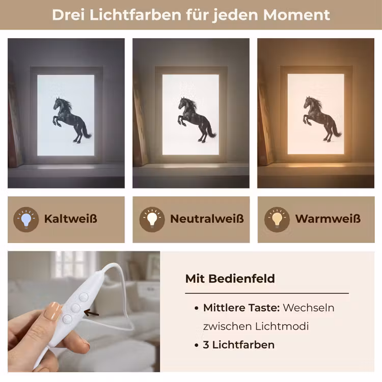 Zwart - Paard - Portret Light Box met kabel (Tafellamp) klein -USP_lichtkleurDE