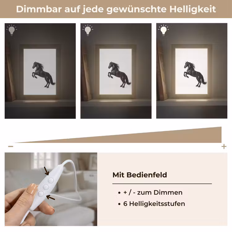 Zwart - Paard - Portret Light Box met kabel (Tafellamp) klein -USP_dimbaarDE