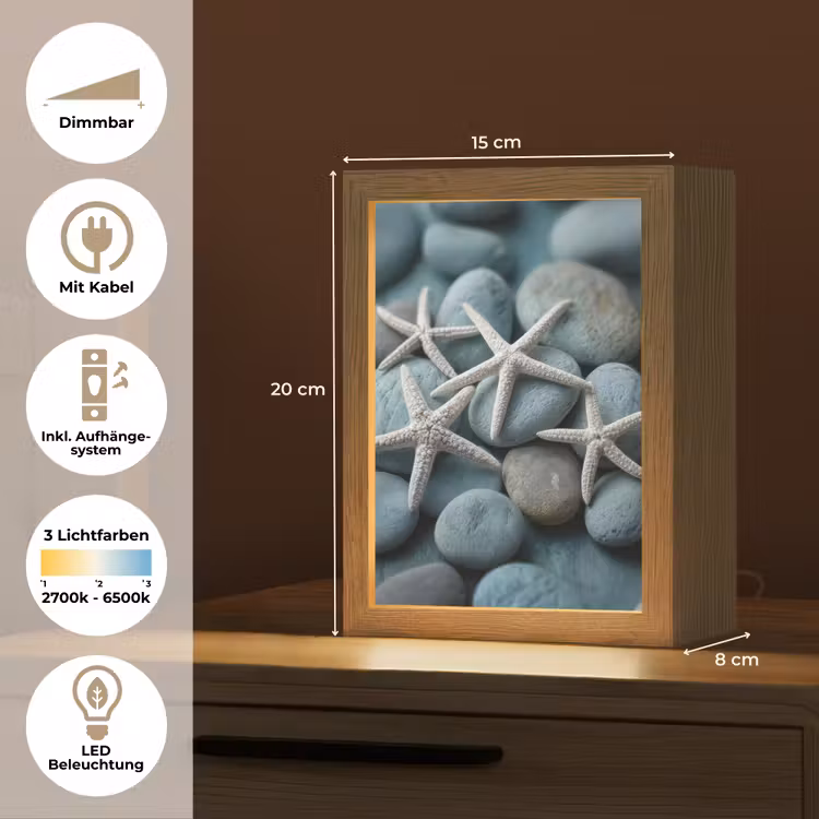 Zeesterren - Stenen - Wit Light Box met kabel (Tafellamp) klein -USP_DE