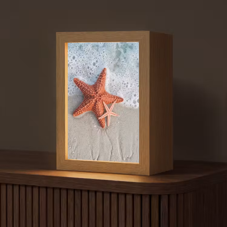 Zeester - Strand - Zee Light Box met kabel (Tafellamp) klein -z3d_website