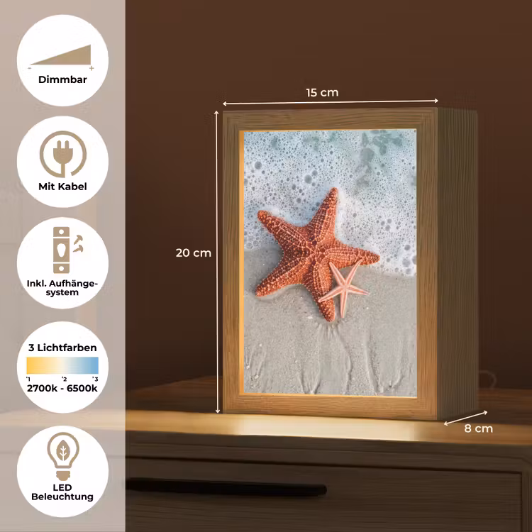 Zeester - Strand - Zee Light Box met kabel (Tafellamp) klein -USP_DE