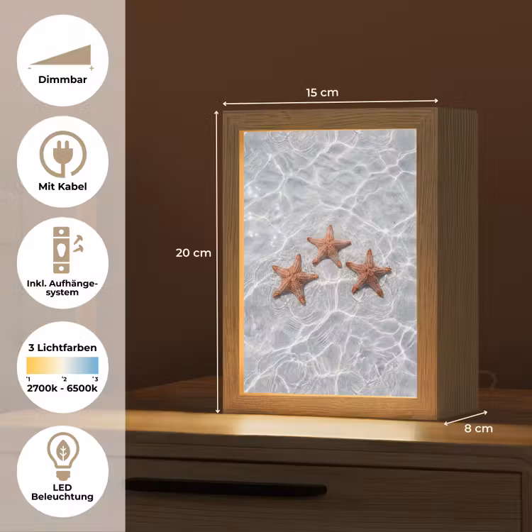 Zeesterren - Water - Helder Light Box met kabel (Tafellamp) klein -USP_DE