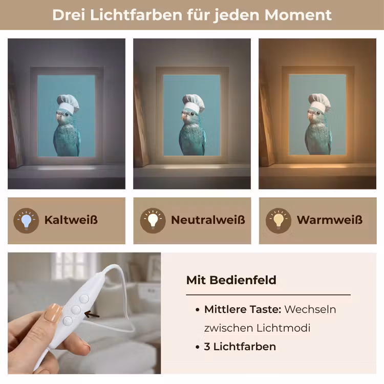 Parkiet - Vogel - Koksmuts - Cute Light Box met kabel (Tafellamp) klein -USP_lichtkleurDE