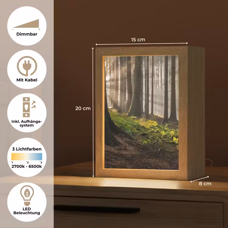 Zon - Takken - Bomen - Bos - Natuur Light Box met kabel (Tafellamp) klein -USP_DE