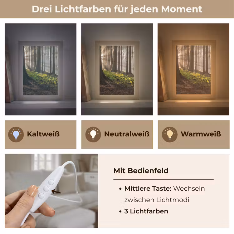 Zon - Takken - Bomen - Bos - Natuur Light Box met kabel (Tafellamp) klein -USP_lichtkleurDE