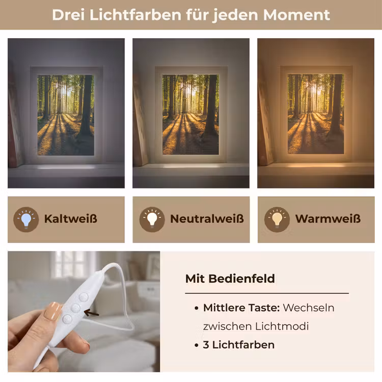 Zon - Bomen - Bos - Landschap - Natuur Light Box met kabel (Tafellamp) klein -USP_lichtkleurDE