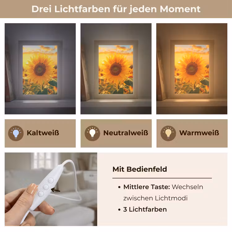Zonnebloem - Bloemen - Geel - Bloemenveld met zonnebloemen Light Box met kabel (Tafellamp) klein -USP_lichtkleurDE