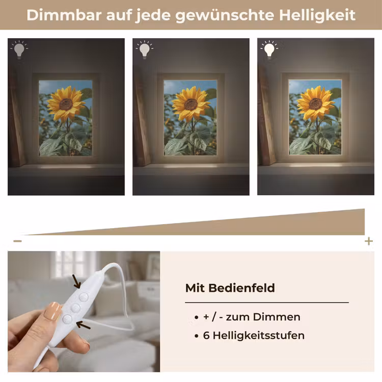 Zonnebloemen - Helderblauwer lucht - Gras Light Box met kabel (Tafellamp) klein -USP_dimbaarDE
