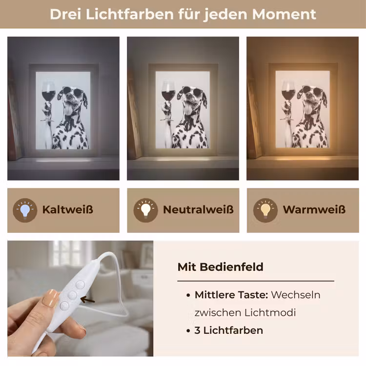 Zonnebril - Dalmatiër - Wijnglas - Tong Light Box met kabel (Tafellamp) klein -USP_lichtkleurDE