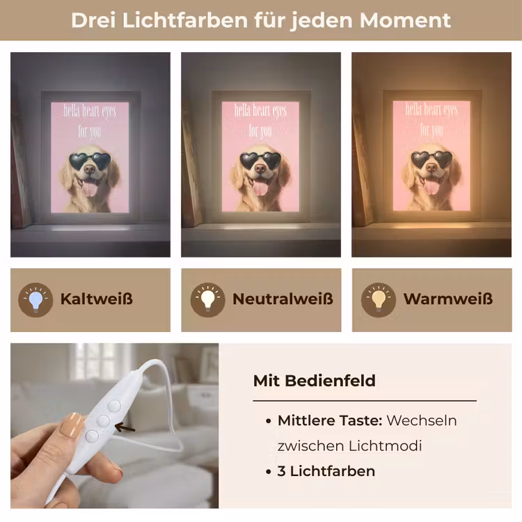 Zonnebril - Hartjes - Hond - Valentijn Light Box met kabel (Tafellamp) klein -USP_lichtkleurDE